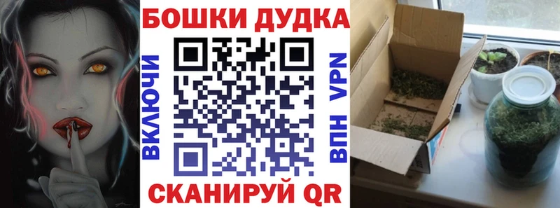 Купить  Староминская  Бошки Шишки ГИДРОПОН 